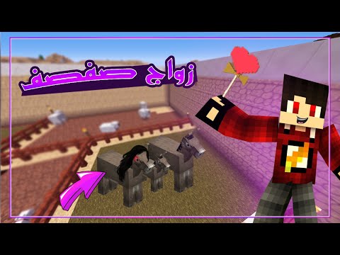 دكتور كرافت 22 صفصف اتجوز لكن حصلت حاجة غريبة 