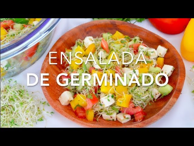 ENSALADA DE GERMINADO (saludable & deliciosa) - Recetas fáciles Pizca de  Sabor - YouTube