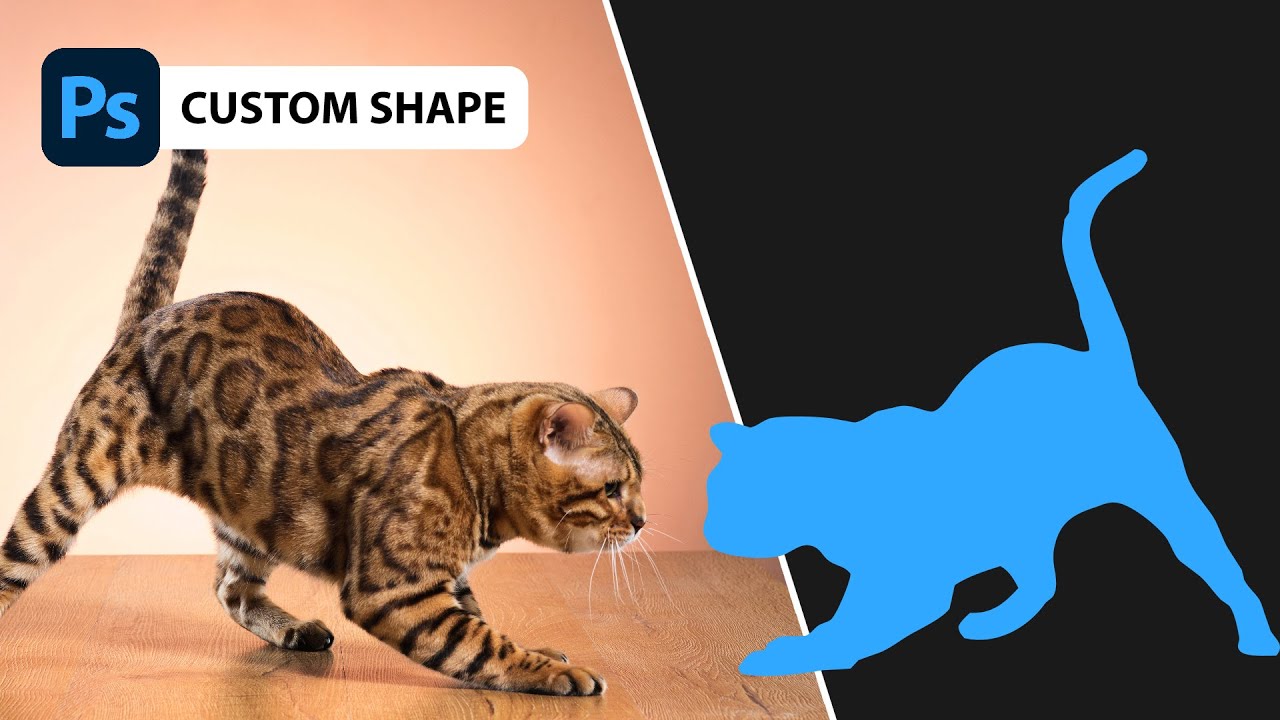 Custom Shapes in Photoshop | Advanced Tutorial