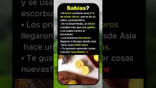 🍋 El sorprendente poder del limón ⚡ desde Asia 🌍 hasta tu mesa