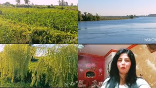 جمال نهر النيل في الريف المصري وسط الأراضي الزراعيه