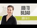 Job to bildad  job 811