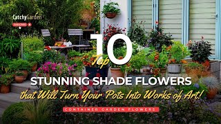10 Stunning Shade Flowers That Will Turn Your Pots Into Works of Art! 🌺😊