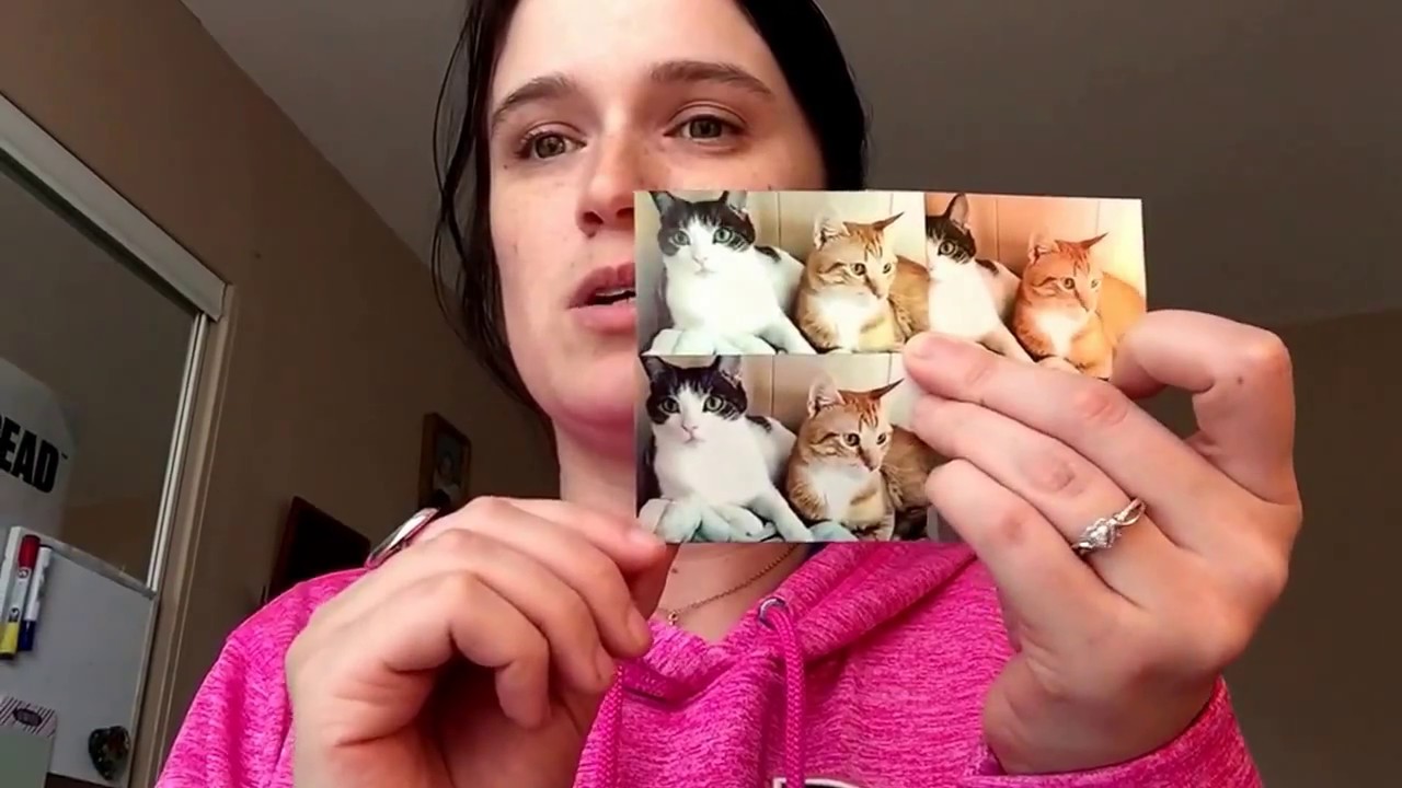 polaroid paper in the