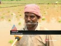 Kannur ,farmhands Tamilnadu migrant workers