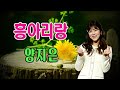 흥아리랑 양지은 미스트롯 양지은 2023 신곡