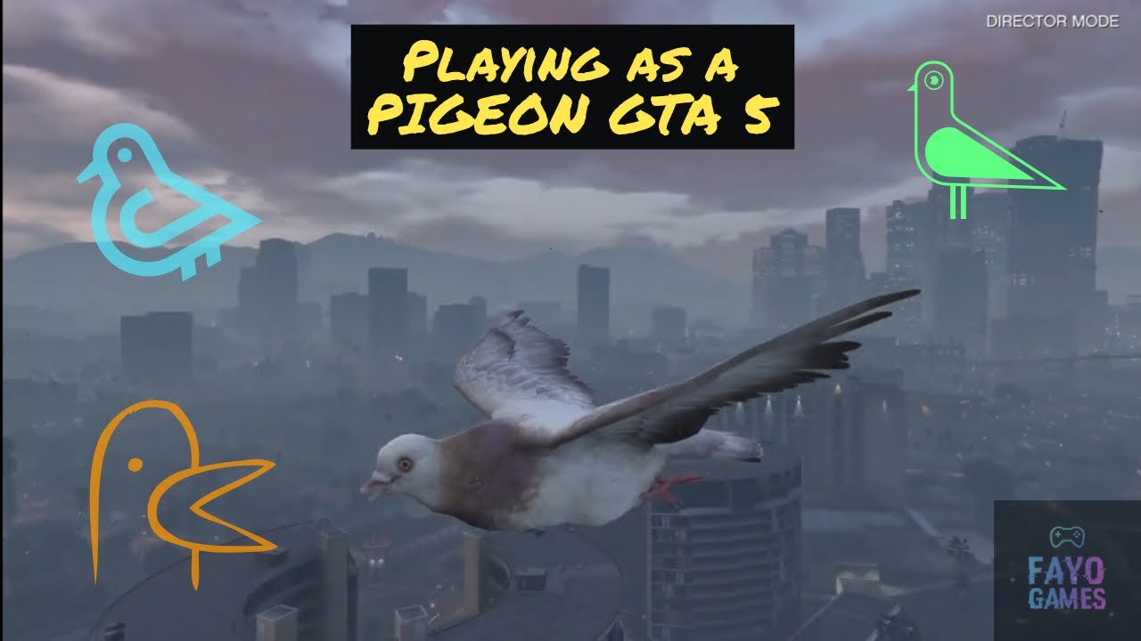 Playing as a PIGEON in GTA 5