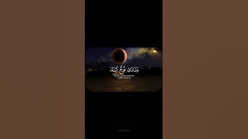 ﴿وَهِيَ تَجْرِي بِهِمْ فِي مَوْجٍ كَالْجِبَالِ وَنَادَىٰ نُوحٌ ابْنَهُ﴾||سورة هود||الشيخ المنشاوي||