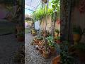 Climinha gostoso no cantinho dos cactos 🌵✨