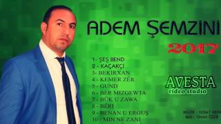 ADEM ŞEMZİNİ - GUNDU (2017) Resimi