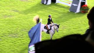 Daniel Bluman jumping in the Puissance at Dublin Horse Show