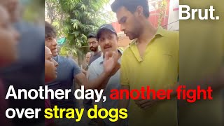 Noida housing society clash over street dogs