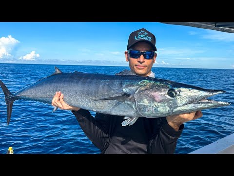 Locos por la pesca - Locos por la pesca submarina