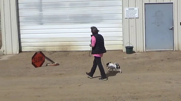 NW1 Cortez Colleen and Charlie Exterior MP4 1280