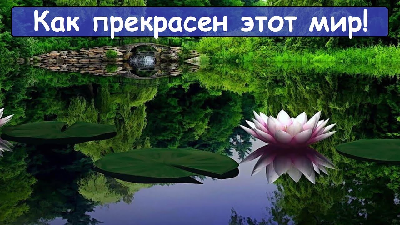 Как прекрасен этот мир! Люди, берегите природу - это наше богатство ...