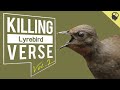 금조(Lyrebird)의 킬링벌스를 녹화영상으로! | 자동차 알람,카메라,쿠카부라,전기톱,그냥톱,망치질,드릴,장난감총,우는아기 등