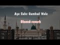 Ay sabz gumbad wale  slowed reverb naat  emotional dua  naat sharif  tabrej official 313