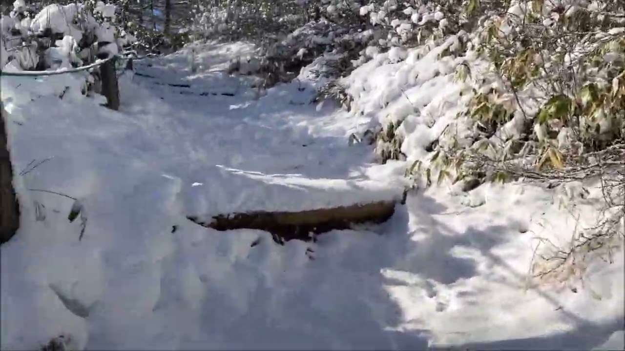 2026年1月 入笠山登山