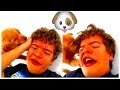 Gaten Matarazzo is having fun with his puppy - Funny Compilation