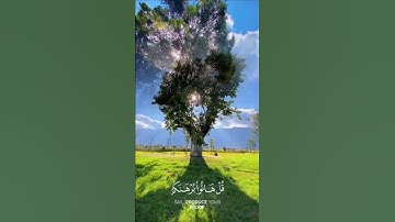 حالات واتس القران_ عراقية القارئ نعمة الحسان سورة النمل آية 64