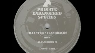 Traxster - Flashback #2