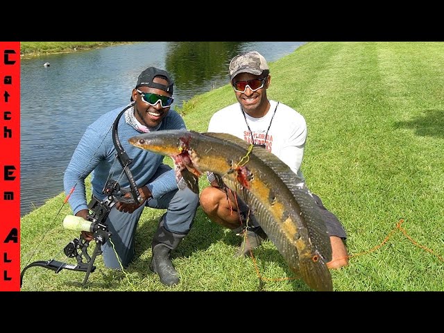 SNAKEHEAD FISH BOWFISHING **Catch n Cook Florida Invasive** 