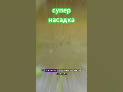 Супер насадка для рыбалки #поклевка #наживка #прикормка - YouTube