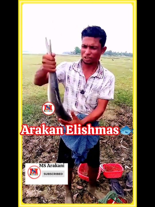 Arakan video 8 Elishmas #msarakani
