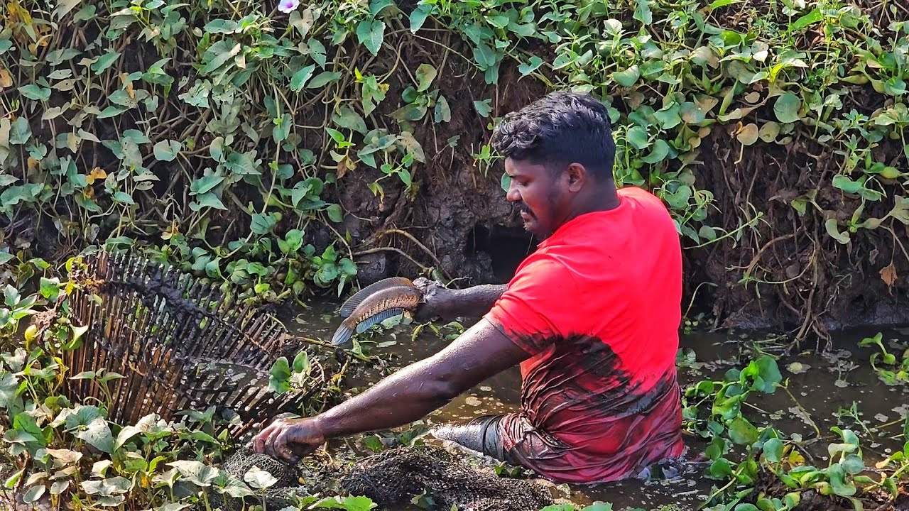 അവധി ദിവസം മക്കളെ കൂട്ടി മീൻ പിടിക്കാൻ പോയപ്പോൾ|Earth Lovers Media|Real life vlog