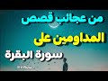 قصة من عجائب سورة البقرة قراءتها يوميا قبل النوم قصة من عجائب سورة البقرة قراءتها يوميا قبل النوم