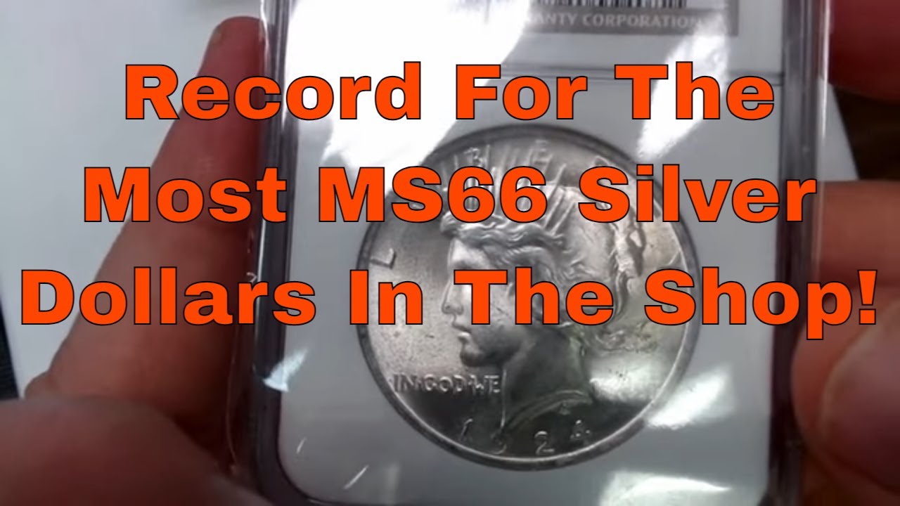 Ms65 Crazy Amount Of MS65 MS66 & MS67 Silver Dollars! UNBELIEVABLE - YouTube
