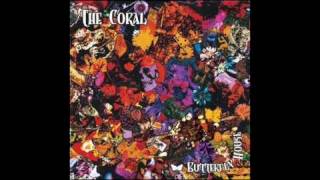 The Coral - North Parade