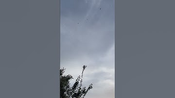 لا إله إلا أنت سبحانك إني كنت من الظالمين ☁️🌥️ #تلاوة_خاشعة #قرآن