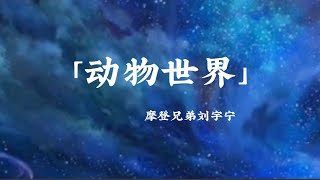 Video thumbnail of "「动物世界」摩登兄弟刘宇宁歌手live-无损音质"