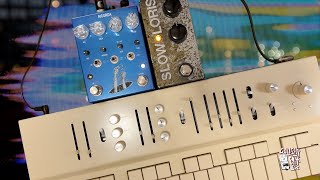 Synth Meditation Slow Loris, Ricorda