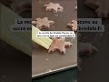 La recette des Bredele de Noël flocons au sucre ❄️    www.bredele.fr/bredele-flocons-sucre