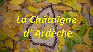 Où trouver des châtaignes en Ardèche ?