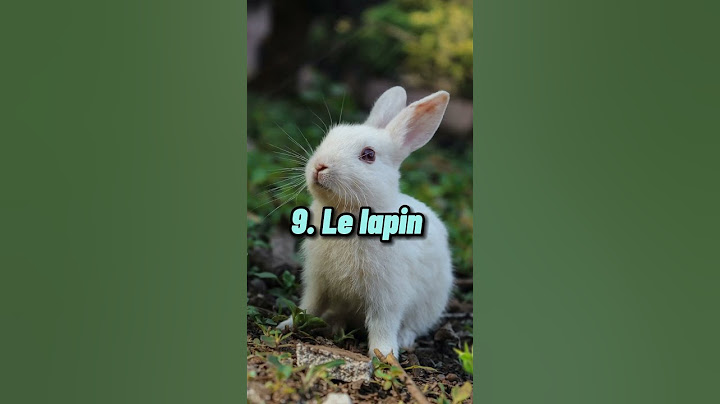 Top 20 des animaux les moins dangereux au monde