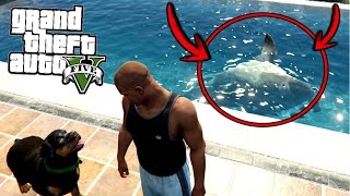 ¿Qué pasa si metes a Chop con un tiburón a la alberca? - GTA 5