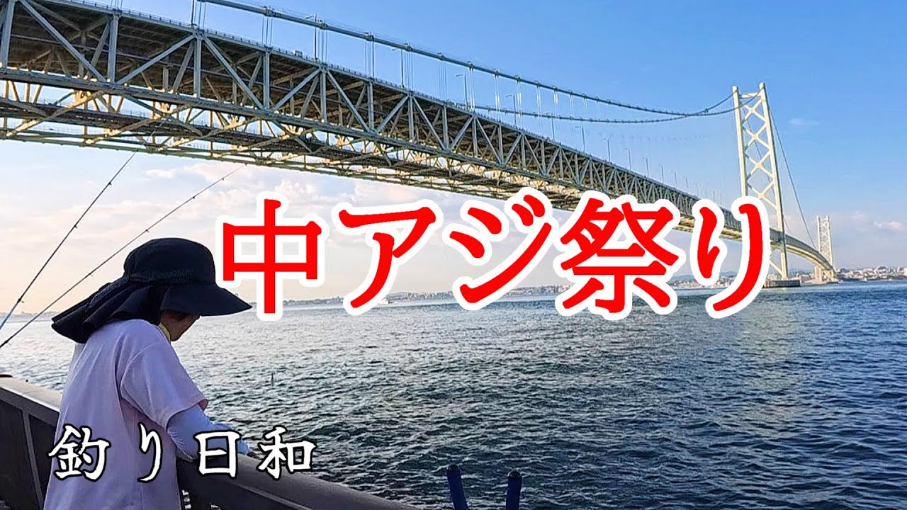 大サバ祭りに参加しようと思ったら、中アジ祭りでした！【アジング】《淡路島釣り》