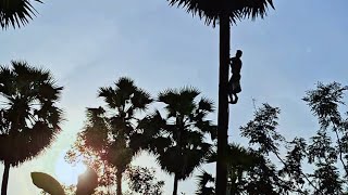 តនតជរធមមជតមនទតហយធមយងបទ