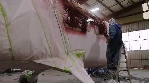 paint twin otter