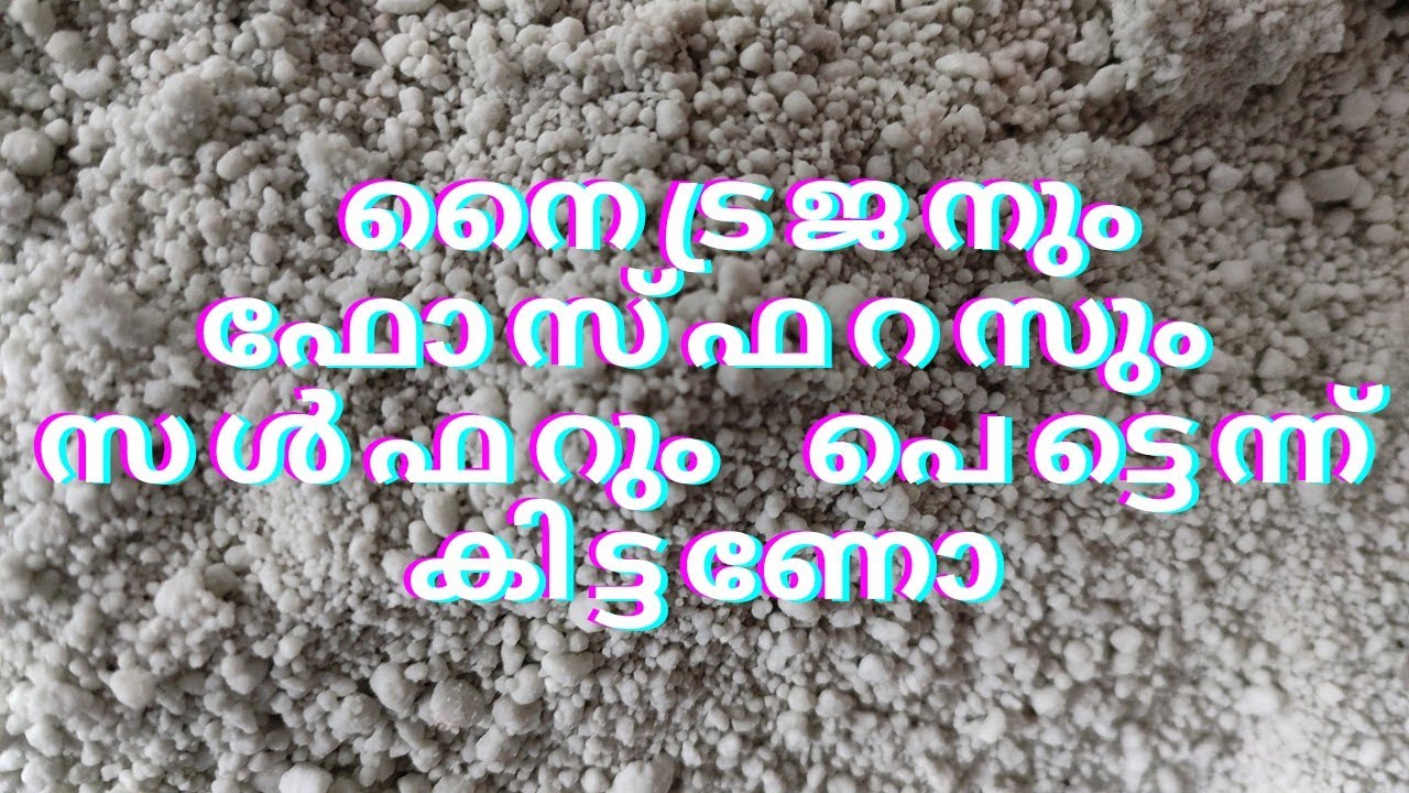 ചെടികൾ കരുത്തോടെ വളരണമെങ്കിൽ ഇത് അൽപം ചേർക്കാം
