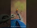 Saving Robbie from the Agent #funnymoments #gaming