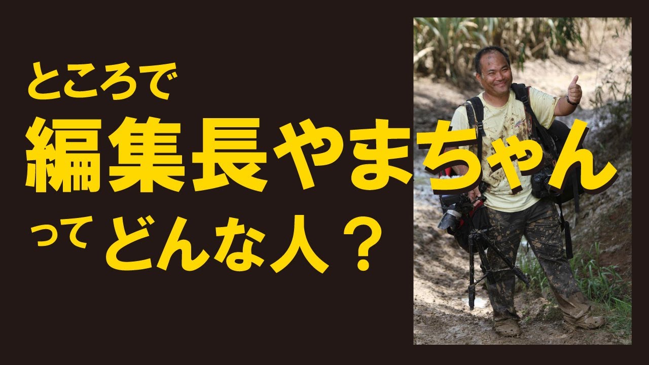 編集長やまちゃん