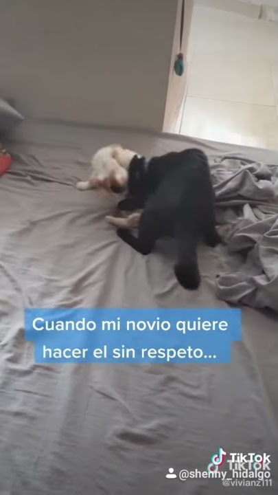 Cuando mi novio quiere hacer el sin respeto tiktok