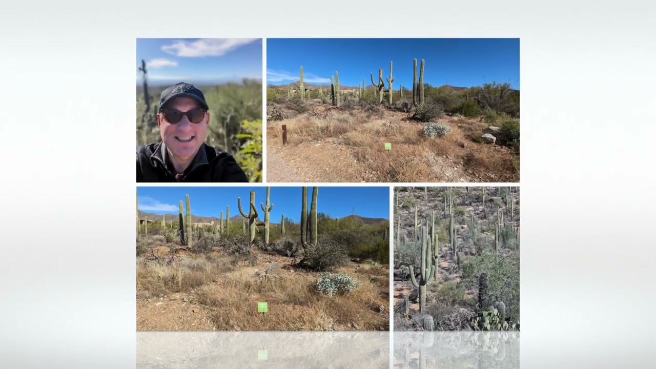 Saguaro National Park
