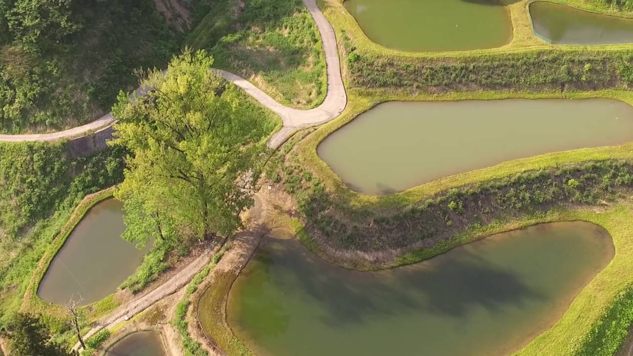 Drone flight over Mushigame mud ponds on 15th May 2016