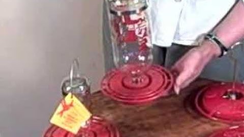 Tips on Choosing a Hummingbird Feeder
