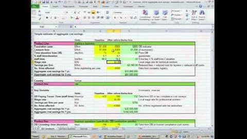 Basics of M&E in PPD, Section 5: Cost Benefits Analysis